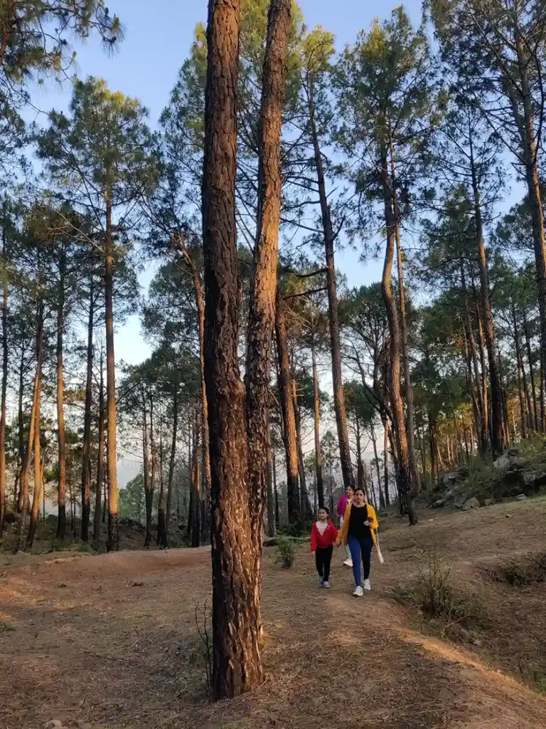 Kasauli-trekking-a