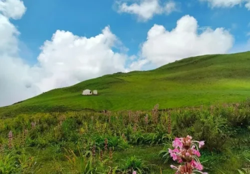Dayara bugyal