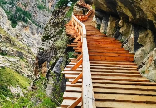 Gartang gali-d