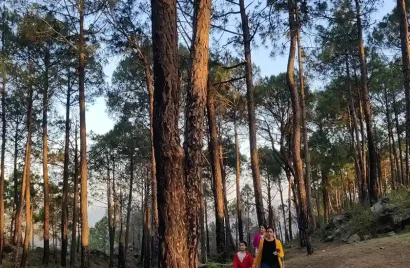 Kasauli-trekking-a