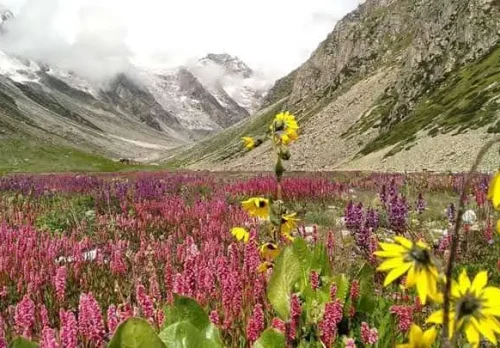 Kyarkoti trek-b