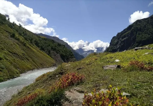Kyarkoti trek-e