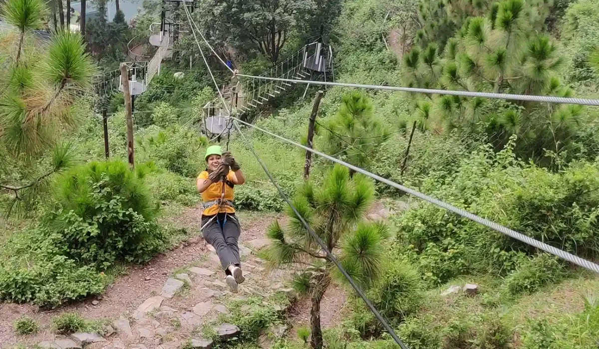 Zipline