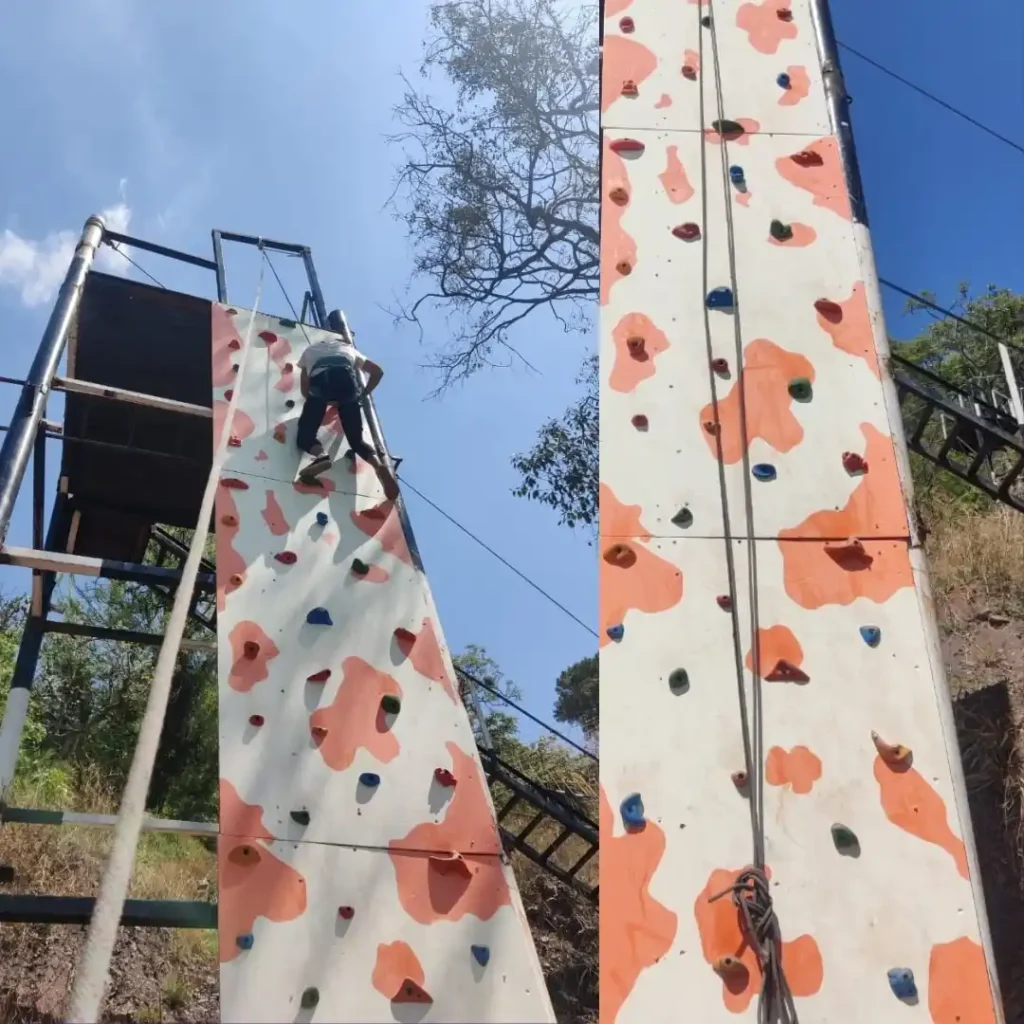 Wall-climbing